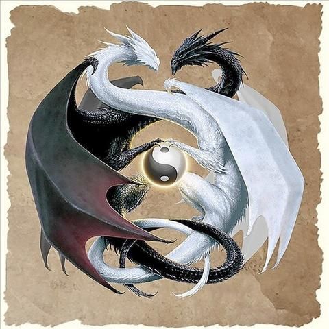 Tatuajes de yin yang con dragon