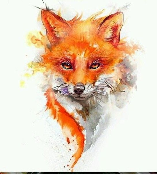 Tatouages de zorros 79