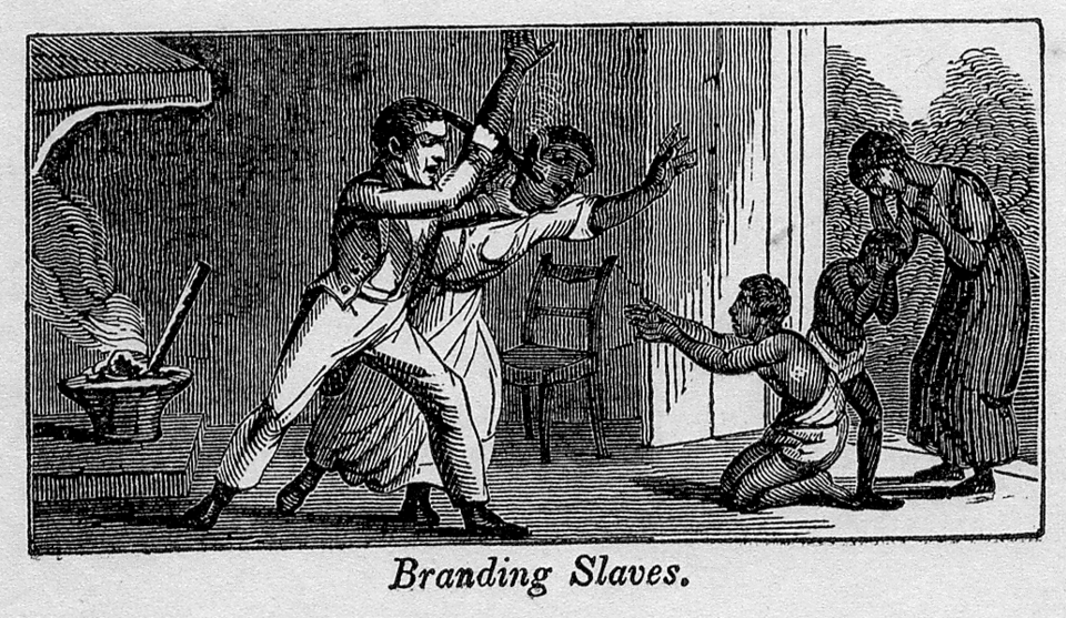 Cropped image of , sourced from https://www.loc.gov/resource/rbpe.24800100/