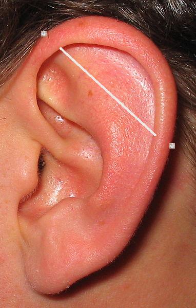 Piercing industrial.