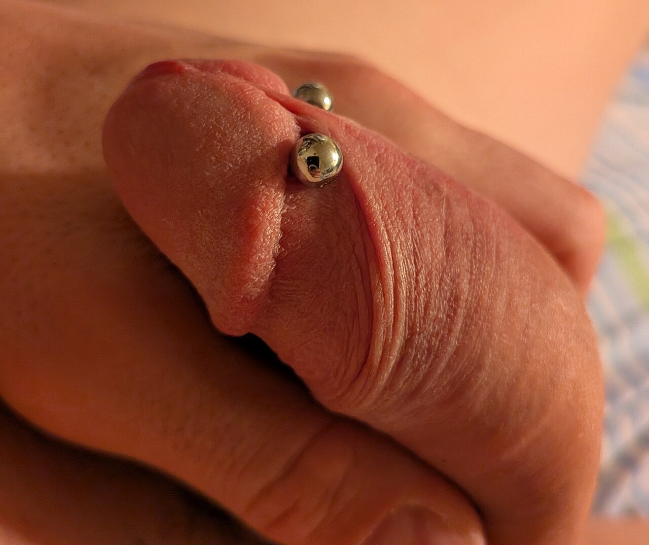 Photograph showing the anatomical placement of a healed frenum piercing with 10 gauge barbell Jewelry.