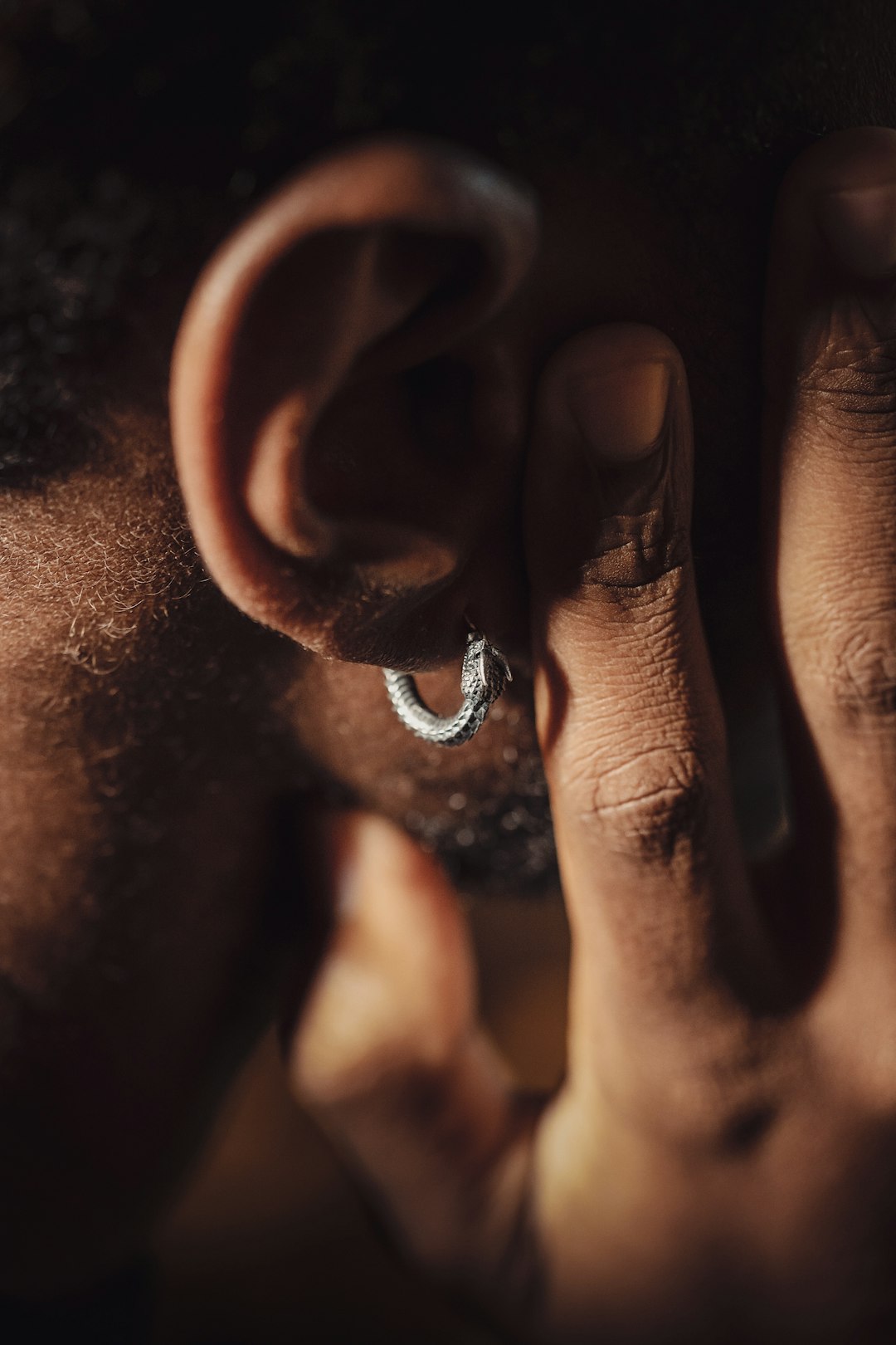 Ouroboros Earrings