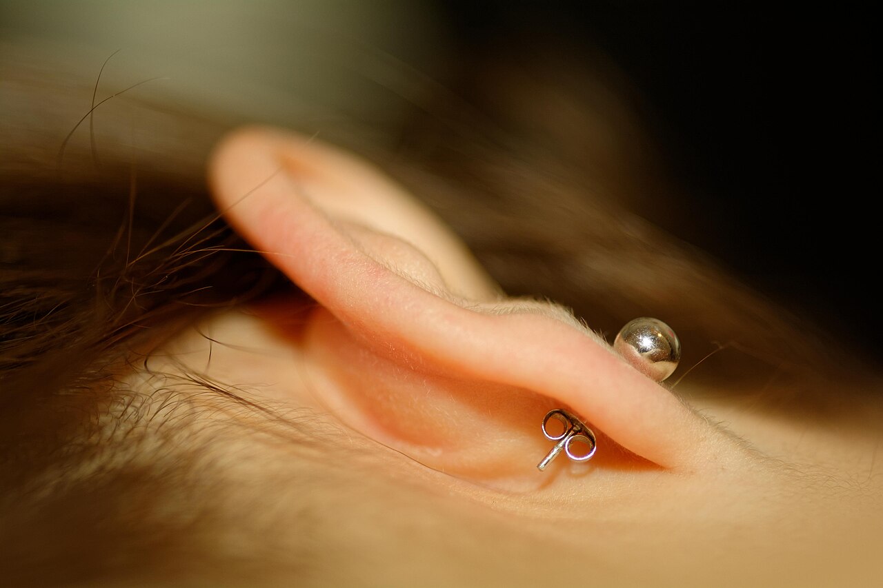 Close-up of the back of a stud earring.