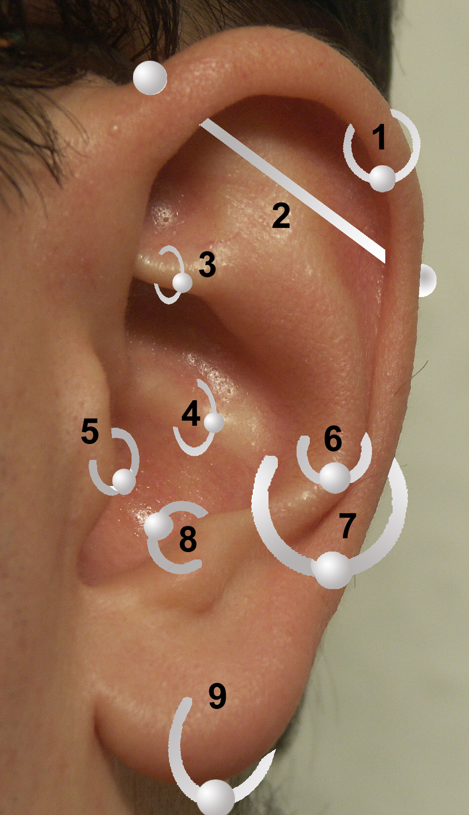 The positions of piercings on a human ear