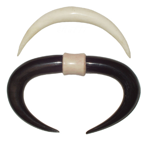 Body Piercing Septum Tusks.jpg