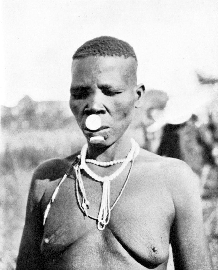 A Banana woman, River Logone. These lip-discs are de rigueur, and no woman would be seen without them. Small holes are made during infancy, these being gradually enlarged until the full-sized discs