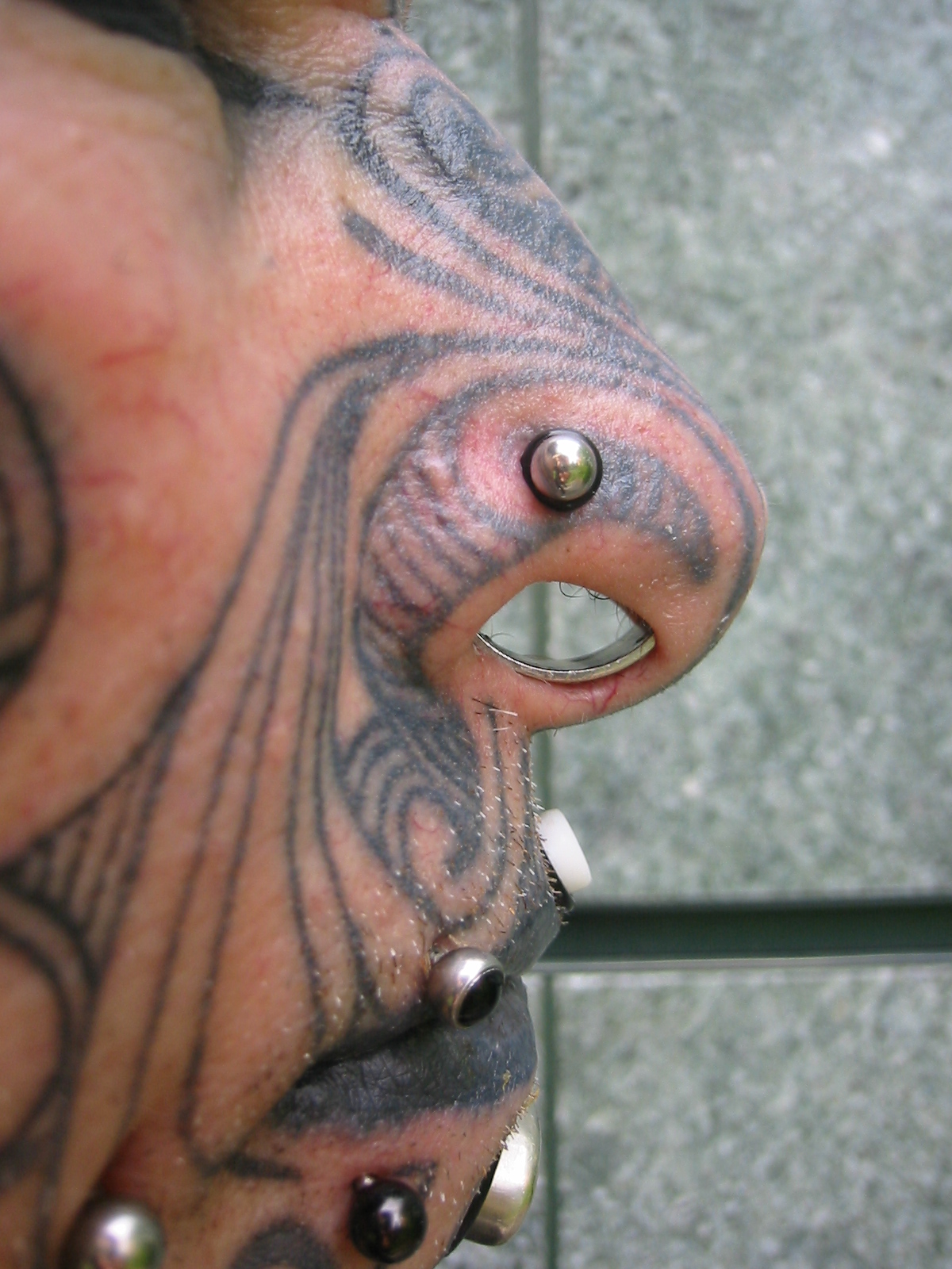 stretched septum and labret piercings