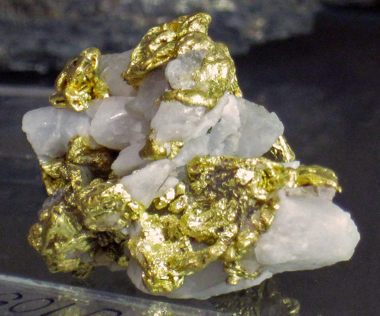 Gold and quartz from Utah, USA. (SDSMT 1073, South Dakota School of Mines and Technology Museum of Geology, Rapid City, South Dakota, USA)A mineral is a naturally-occurring, solid, inorganic, crystal